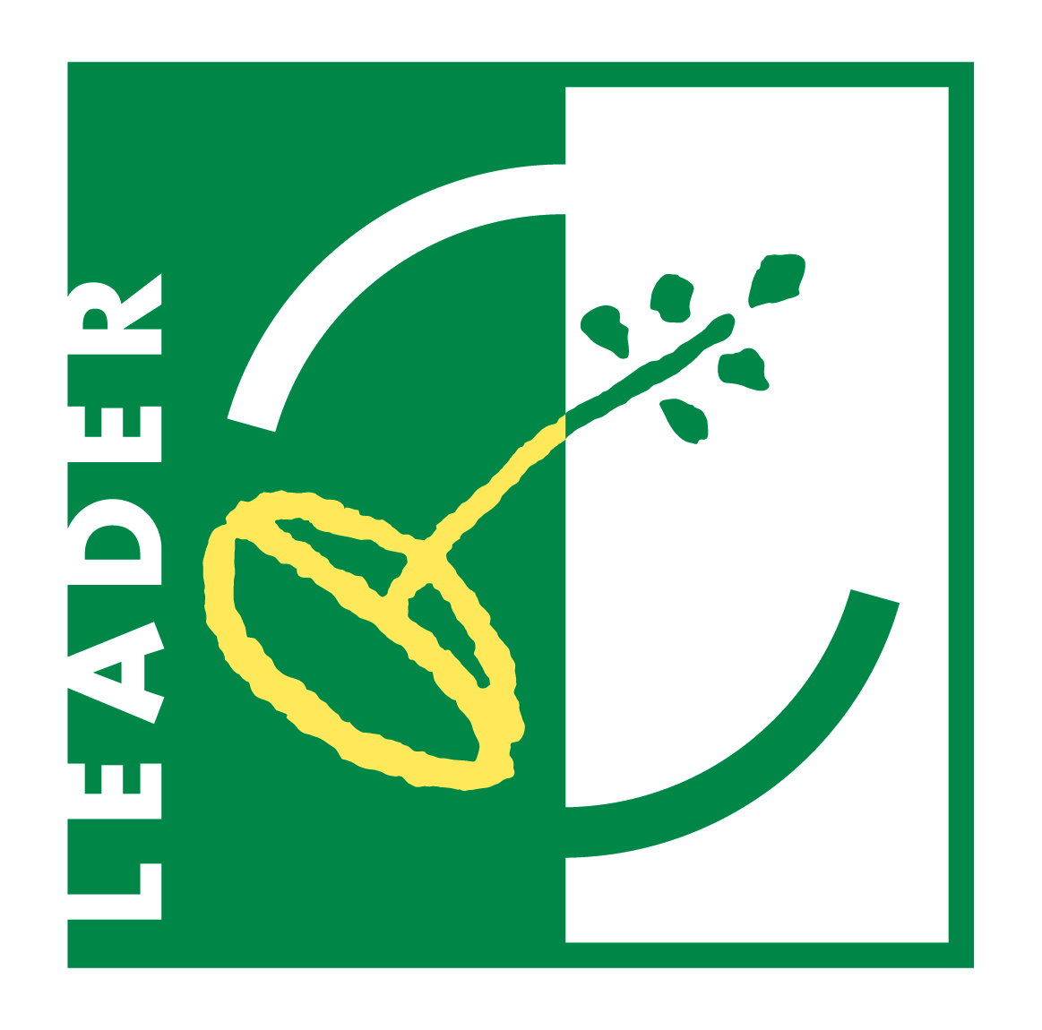 1.-Logo-LEADER