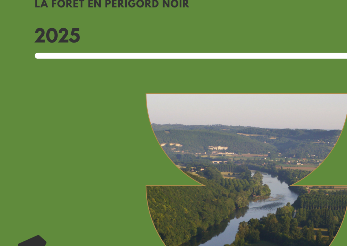 LIVRET FORÊT PAYS DU PERIGORD NOIR JUILLET 2025 LIVRET FORÊT PAYS DU PERIGORD NOIR JUILLET 2025