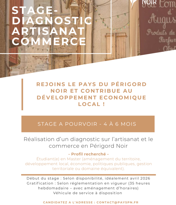 OFFRE LINKEDIN STAGE ARTISANAT COMMERCE